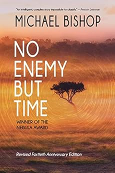 Capa do livro No Enemy but Time