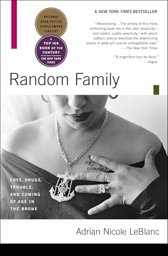 Capa do livro Random Family