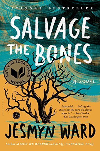 Capa do livro Salvage the Bones