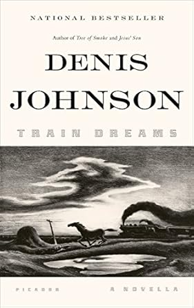 Capa do livro Train Dreams